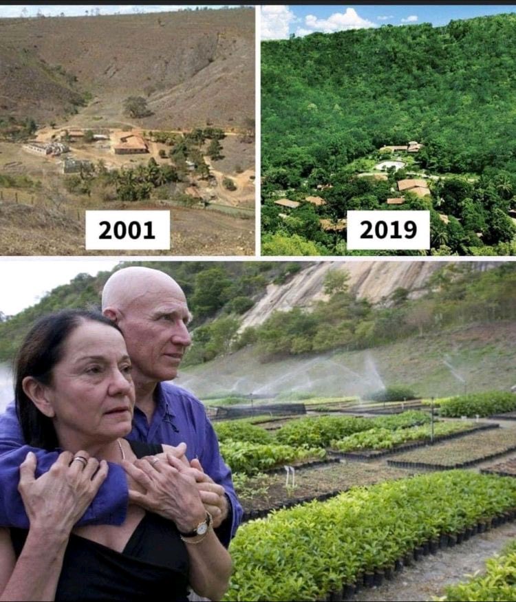 🌳 

An inspiring story:

In Brazil, Lelia Wanick and Sebastian Salgado planted 2 millions trees in 18 years, bringing back 172 species of birds, 33 mammals, 15 amphibians, 15 reptiles and 293 plant species. 

#rewilding #nature #forests #climate #biodiversity #water MT <a href="/tukwa2/">Tukwa🌍🌱</a>