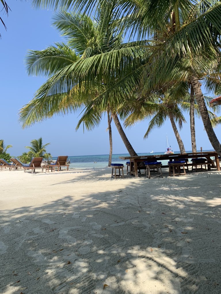 So, I’m thinking I’ll just stay here and write.