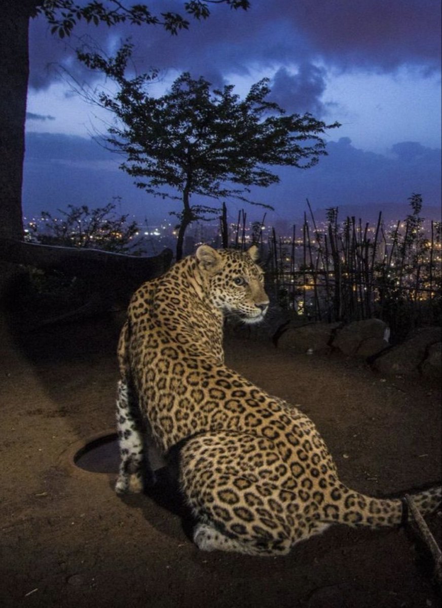 HIGHEST (@high6st) on Twitter photo 