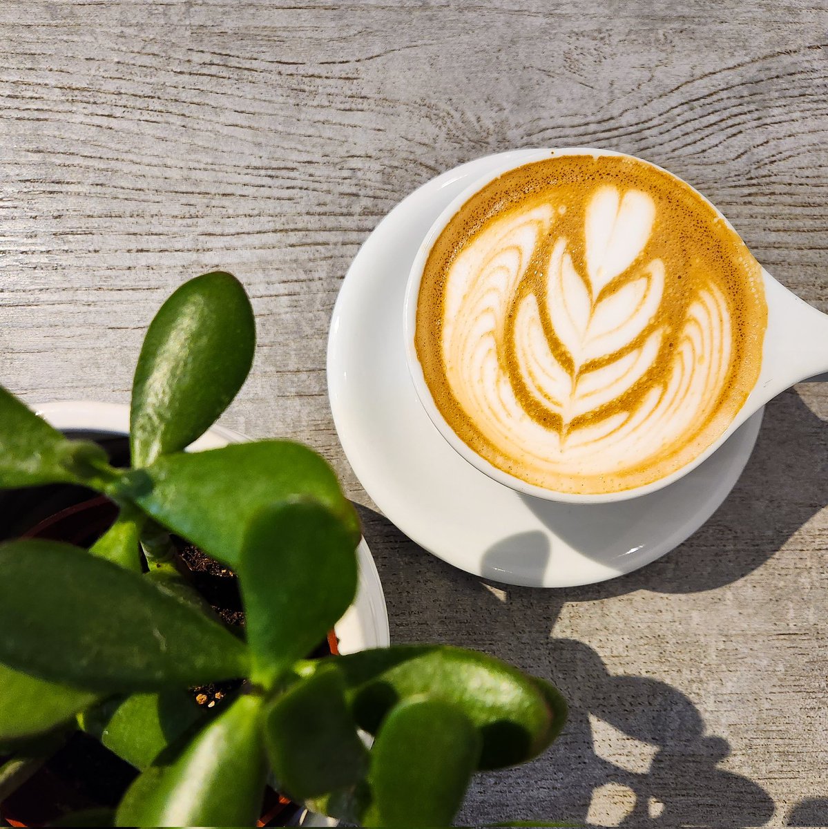 OgawaCoffeeUSA's tweet photo. Our Cafe Noisette is back and better than ever! Browned butter and house-made cardamom syrup has never tasted so good ☕️

#bostoncoffee #cafesofboston #ourboston #specialtycoffee #dripofhope #chooseyourcoffee #coffeejpg #caffn8me #peoplebrewcoffee #coffeediary #coffeelike https://t.co/Sc8CvHStFk
