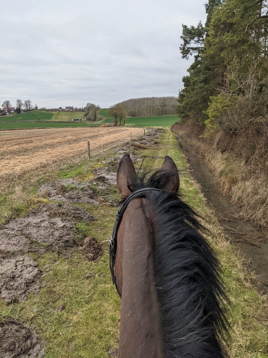 Fun Sunday exploring even if it is a bit cold and grey!