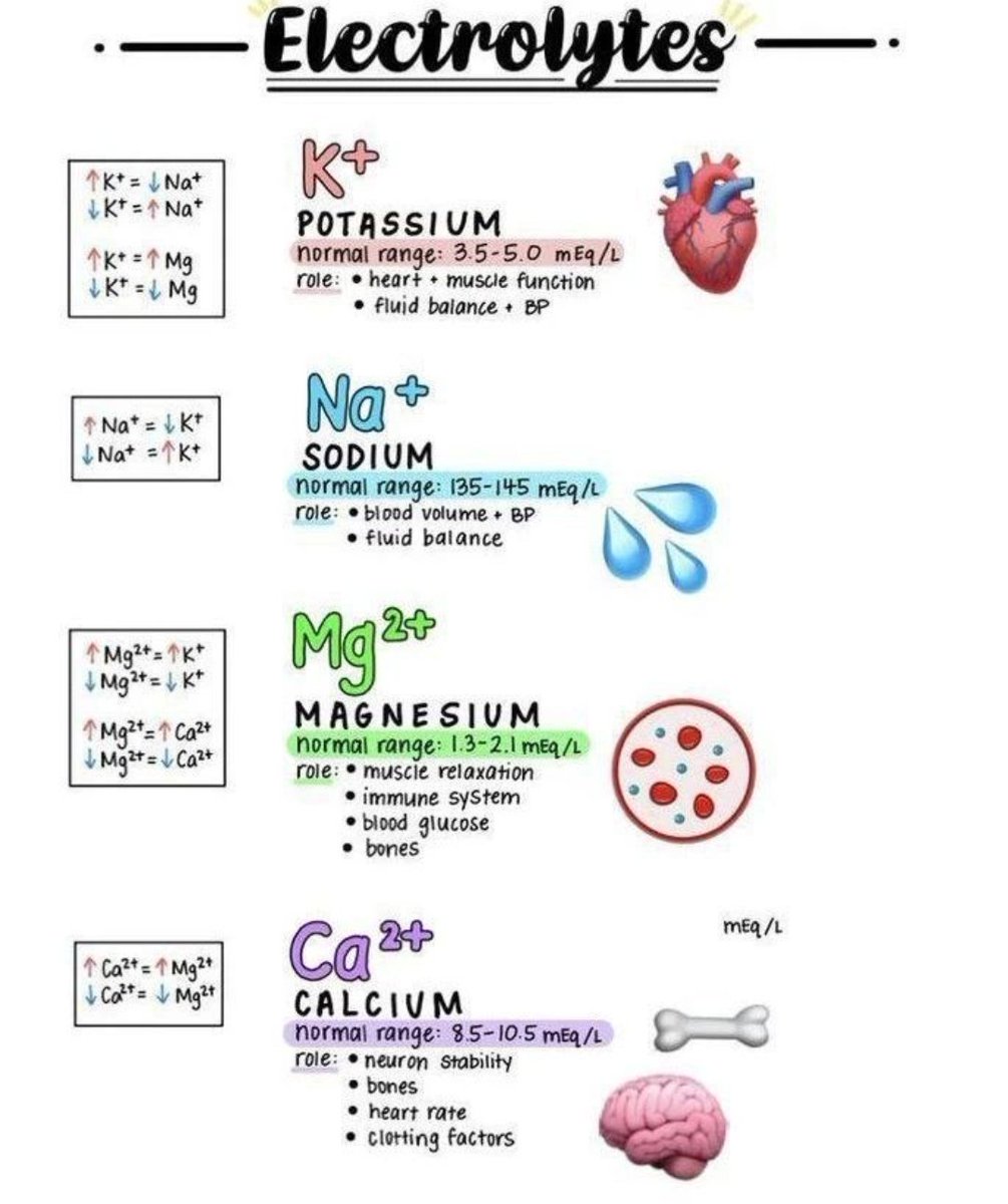 yoursmedico's tweet photo. Electrolytes
#MedEdChat #MedEd #medtwitter #MedTwitterSelective
#neetpg2022counselling #NEETUG2022 #neetug2022counselling #NEETPG2023 https://t.co/ml6xdutmm4