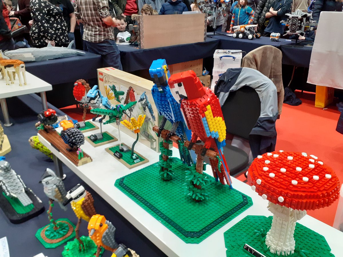 IOweYouNathan's tweet photo. Exotic birds are all very well, but I think the humble pigeon really did it for me...

#lego #afol #bricktastoc @bricktastic https://t.co/YkEF1OBBKW