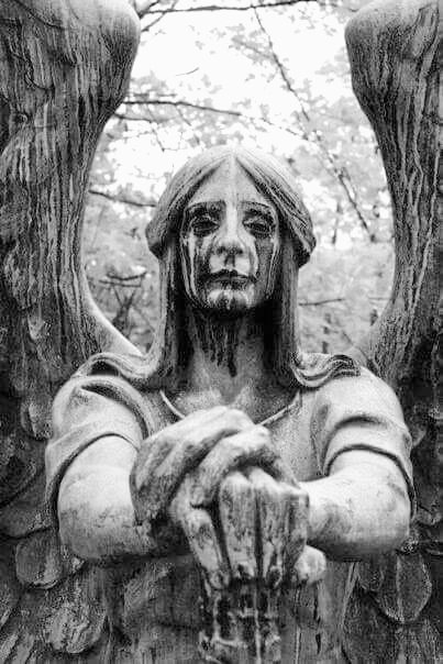 ᅠ
ᅠ
ᅠᅠᅠ
Bu dünyada elbet üzüleceğiz, sevgilim. Kimi zaman kırıklar dizlerimize batacak ve yüreğimizde acı dolu feryatları duyulacak. Unutma sevgilim, elbet bir gün çiçeklenecek ruhun. 
ᅠ
ᅠ
ᅠ