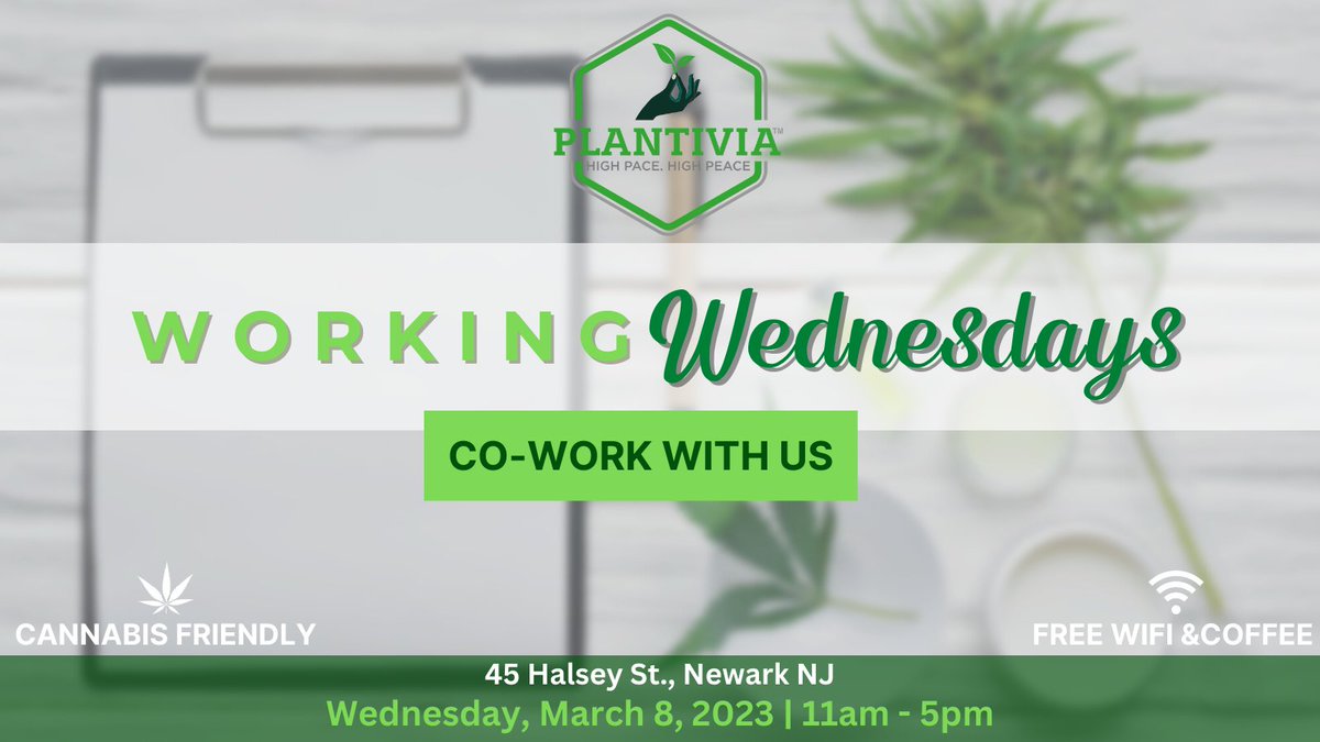 plantivianwk's tweet image. Join us for #WorkingWednesdays. Working remotely can be draining, come share space in our co-working den! Network and join our community of cannabis-friendly local professionals.

FREE WI-FI
FREE COFFEE
FREE VIBES

#CannabisCommunity
#Creativeworkflow
#Cannabisfriendly