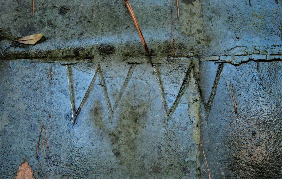 Wordsworthians's tweet photo. Today's #pastpost: Ian Brodie explores the fascinating history of the famous 'Rock of Names' behind the museum @WordsworthGras, engraved with the initials of William, Dorothy, their brother John, William's wife Mary, her sister Sarah, and Coleridge
https://t.co/ojsxNURIpP https://t.co/ZnxlJ0VuFd