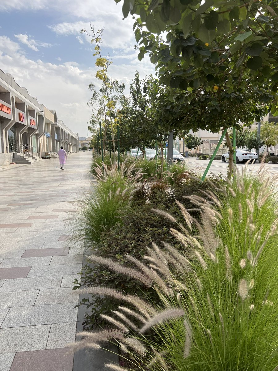 alsayel's tweet image. الأنسنة في المدينة المنورة صُممت بحُب 🤍✨
- تجربة مشي حميمية
- أثاث طريق عالي الجودة
- نباتات محلية ملطفة للأجواء 
- أرضيات مصممة لتهدئة سرعة المركبات
- أنشطة مختلفة.

#مدن_للناس