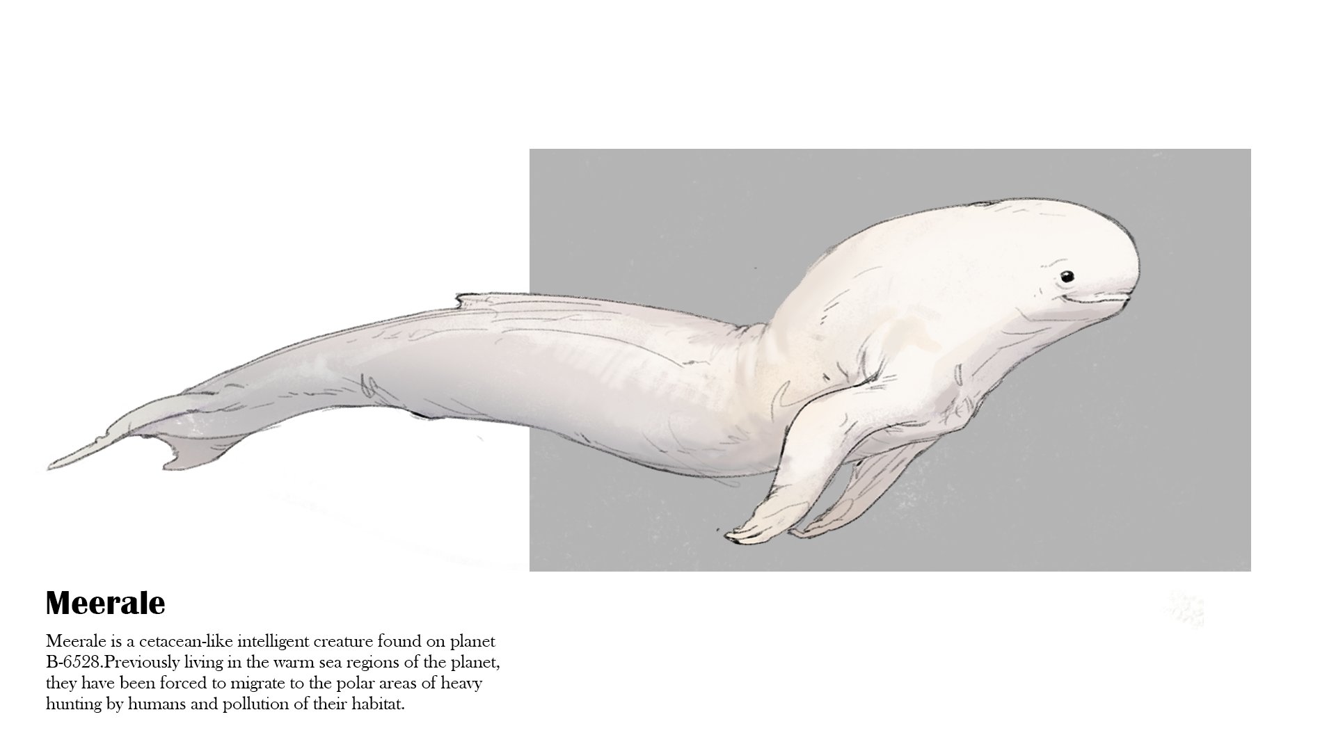 flounder man on Twitter "For homework https//t.co/noUZGx6u0c" / Twitter