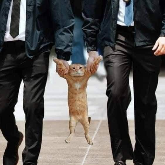 Black Panth Tiger On Twitter RT HassaneNG224 Personne N est Au black-panth-tiger-on-twitter-rt-hassaneng224-personne-n-est-au