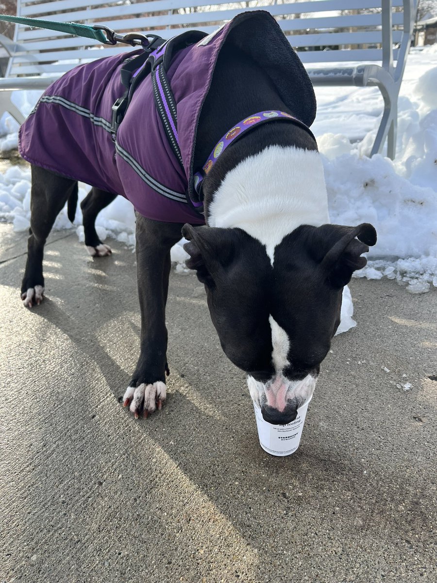 Allie Jacobs tweet media