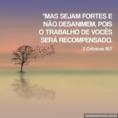 vemclamaradeus's tweet photo. https://t.co/TrfOF9kSoB