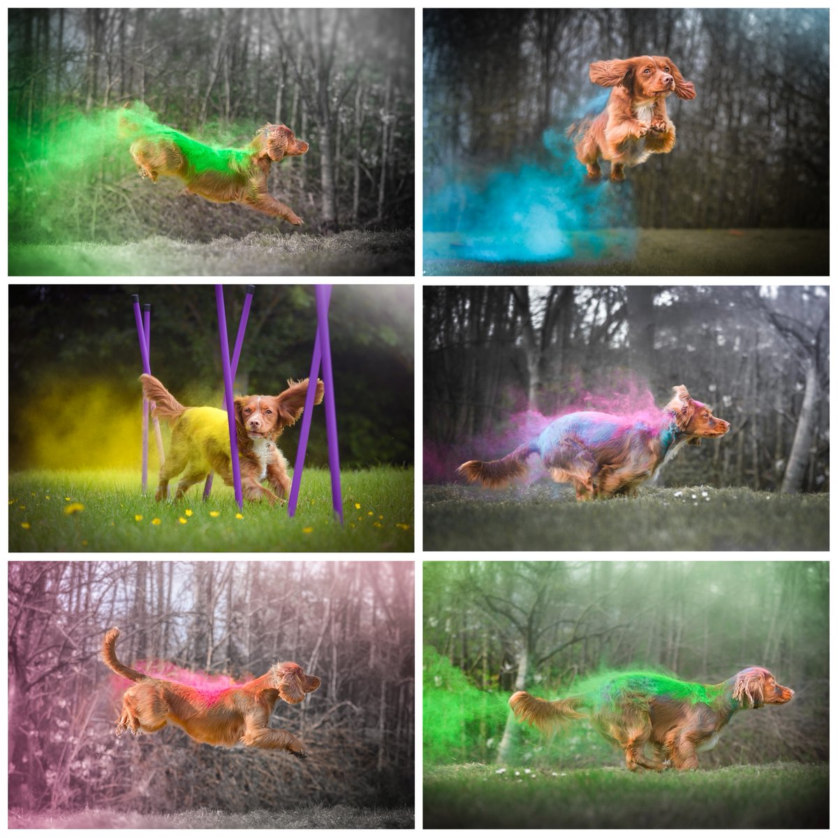 LouiseClazey tweet media