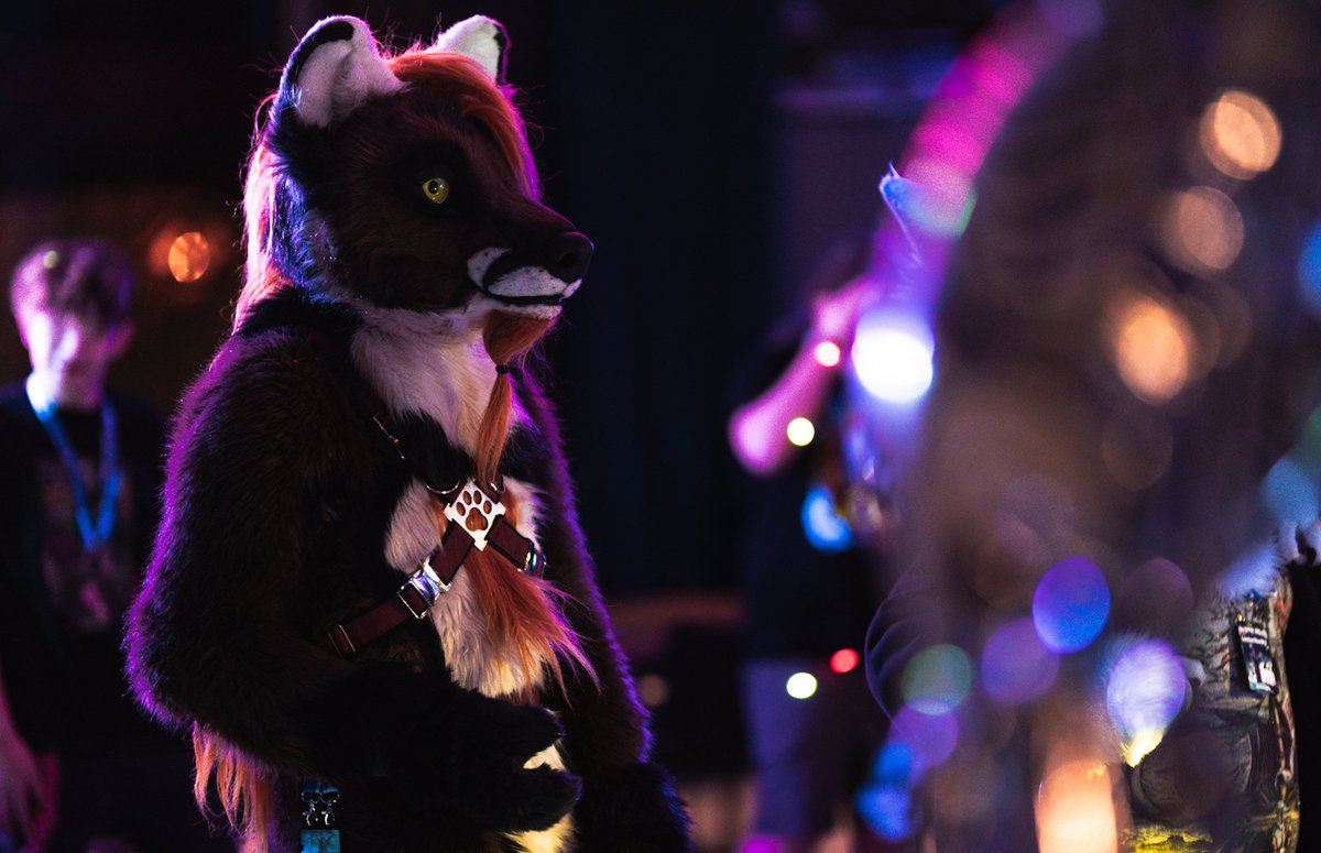 DoggoDeer's tweet photo. Dancefloor at #Gdakon2023
#dancing #FursuitEveryday @GdakonPL 
@Crunchycurl https://t.co/0pYWxA8esW