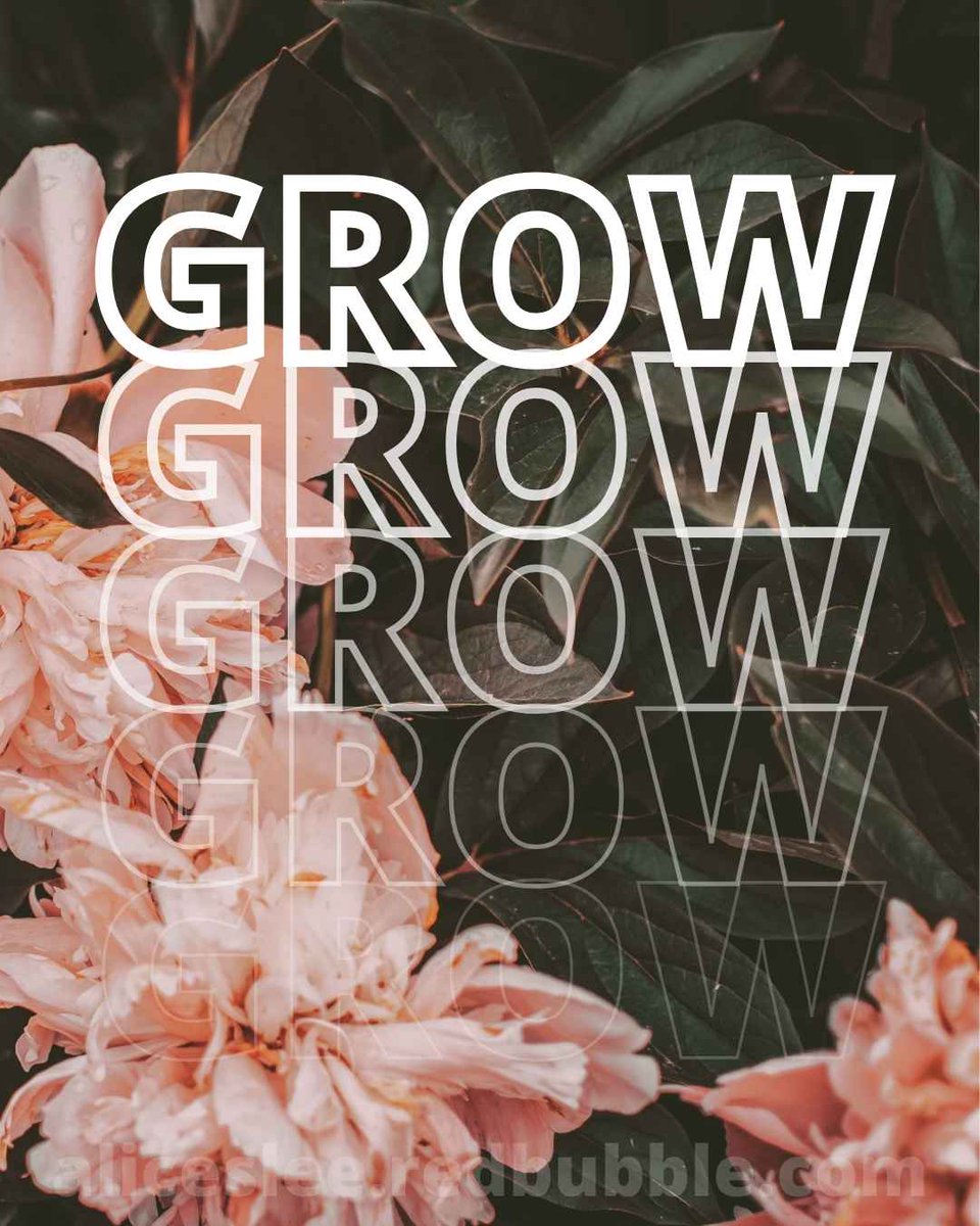 AliceSLee_'s tweet photo. GROW (above) - Dreamy Vibe Peach Flowers
~
GROW. Exceed Expectations.
~
Link to Shop in Bio or
Buy Here: https://t.co/CKdFctjQSJ
~
#redbubble #design #art #poster #artprint #aliceslee #shop #redbubbleshop #grow #growthmindset #keepgrowing #artwork #botany #plants #flowers #peachy https://t.co/MmoJ5z4waF