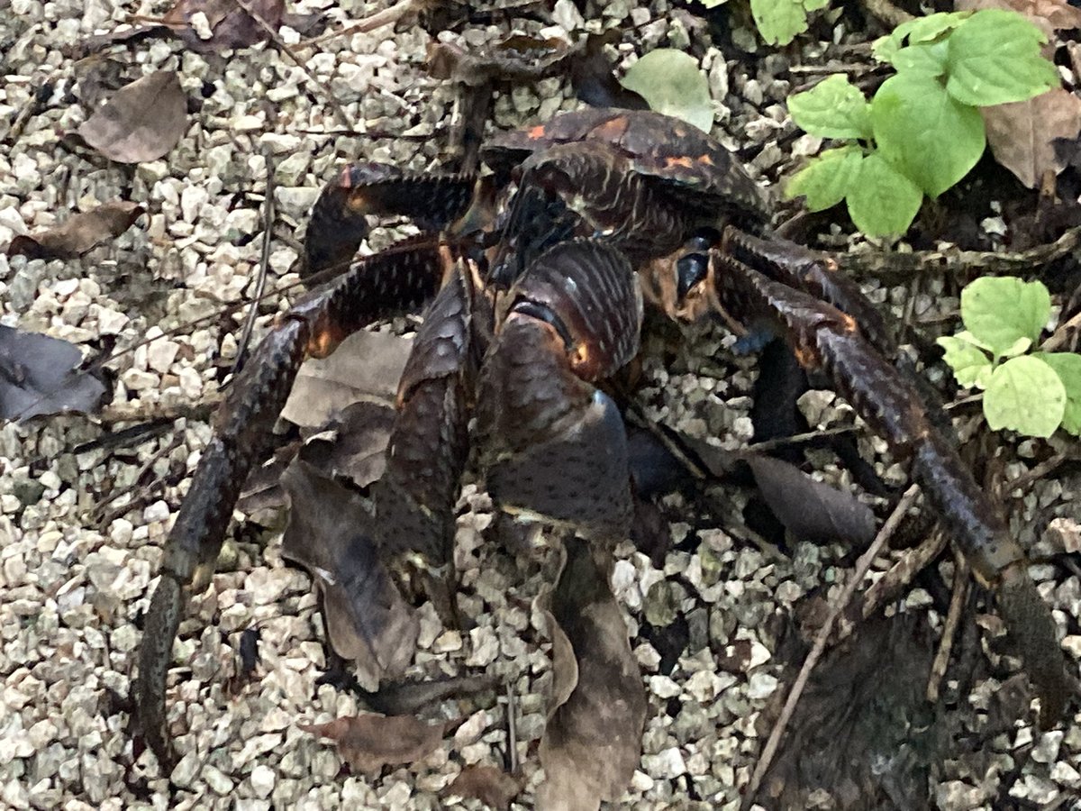 Cooper French tweet media