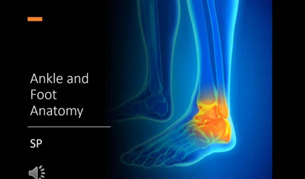 video on foot and ankle anatomy for students @UoS_Students @thecspstudents youtu.be/S8n8_c76iMQ