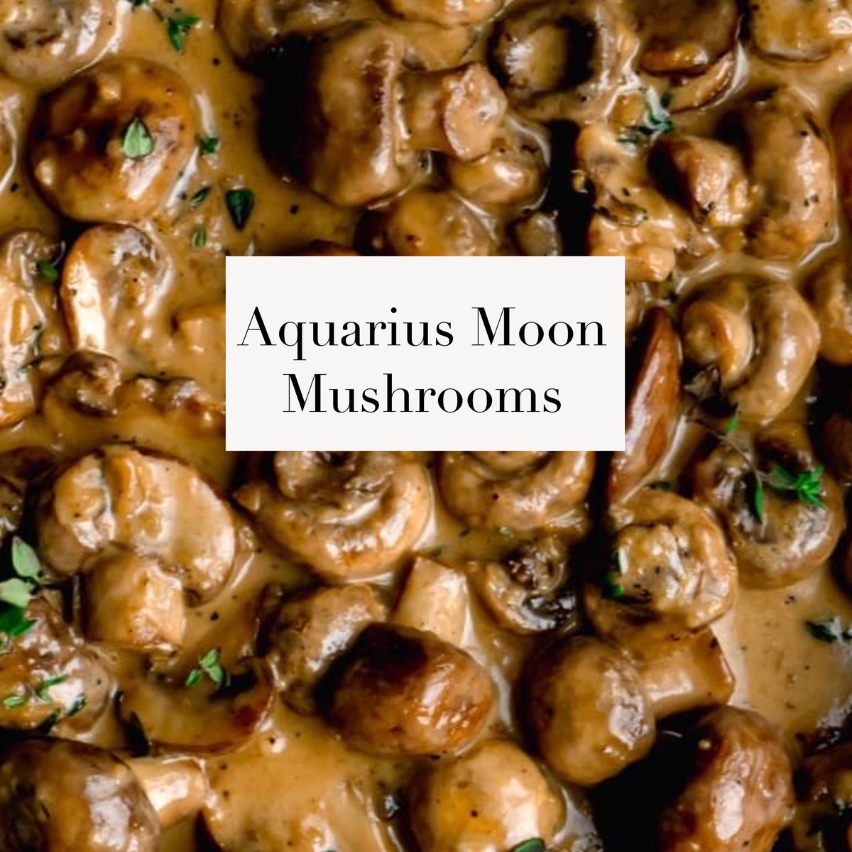 astro memes (@magstrology) on Twitter photo The signs as pasta dishes
Sun: noodles
Moon: toppings
Rising: sauces The signs as pasta dishes
Sun: noodles
Moon: toppings
Rising: sauces