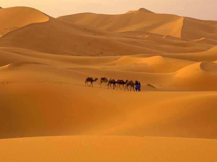The Sahara is the largest desert in the world.  Its area is 9,065,000 square km, which is only slightly less than the territory occupied by the United States.
#nft
#sahara 
#NFTMarketplace 
#NFTartists 
#NFTdrop 
#EcoNFT