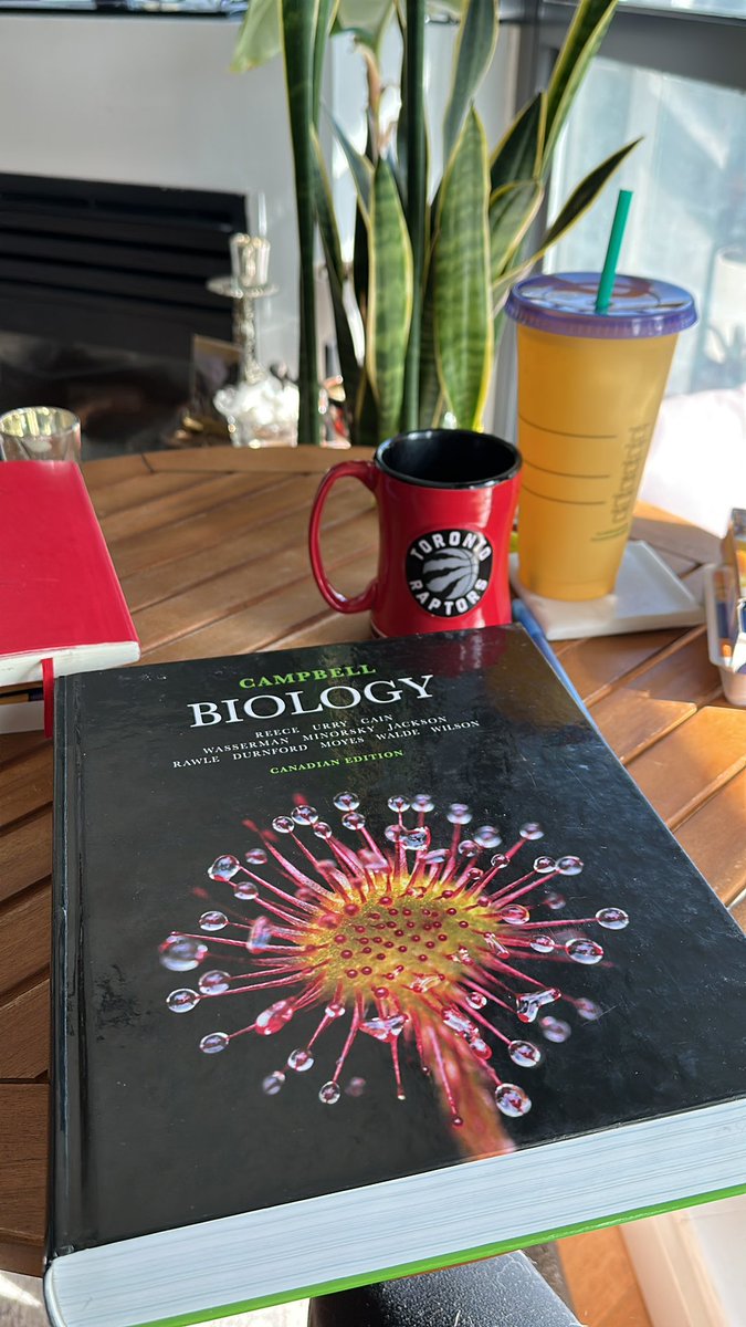 JillianPS's tweet photo. I never took Bio in high school, one of my main regrets. Aside from actually being in nature, this is my kind of Sunday adventure 😎
#learning #biology #lifelonglearning https://t.co/J3Lfg7bdJY