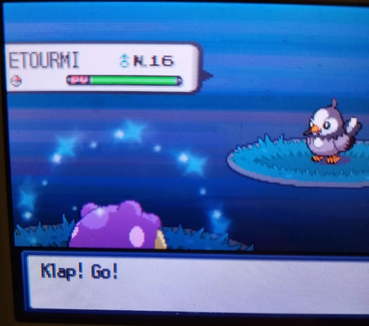 ✨Shiny Spheal✨after ONLY 15 eggs hatched in Pokémon Pearl ! 

I'm so shocked ! It's always fun to take more time to prepare a hunt than to find the shiny :D !