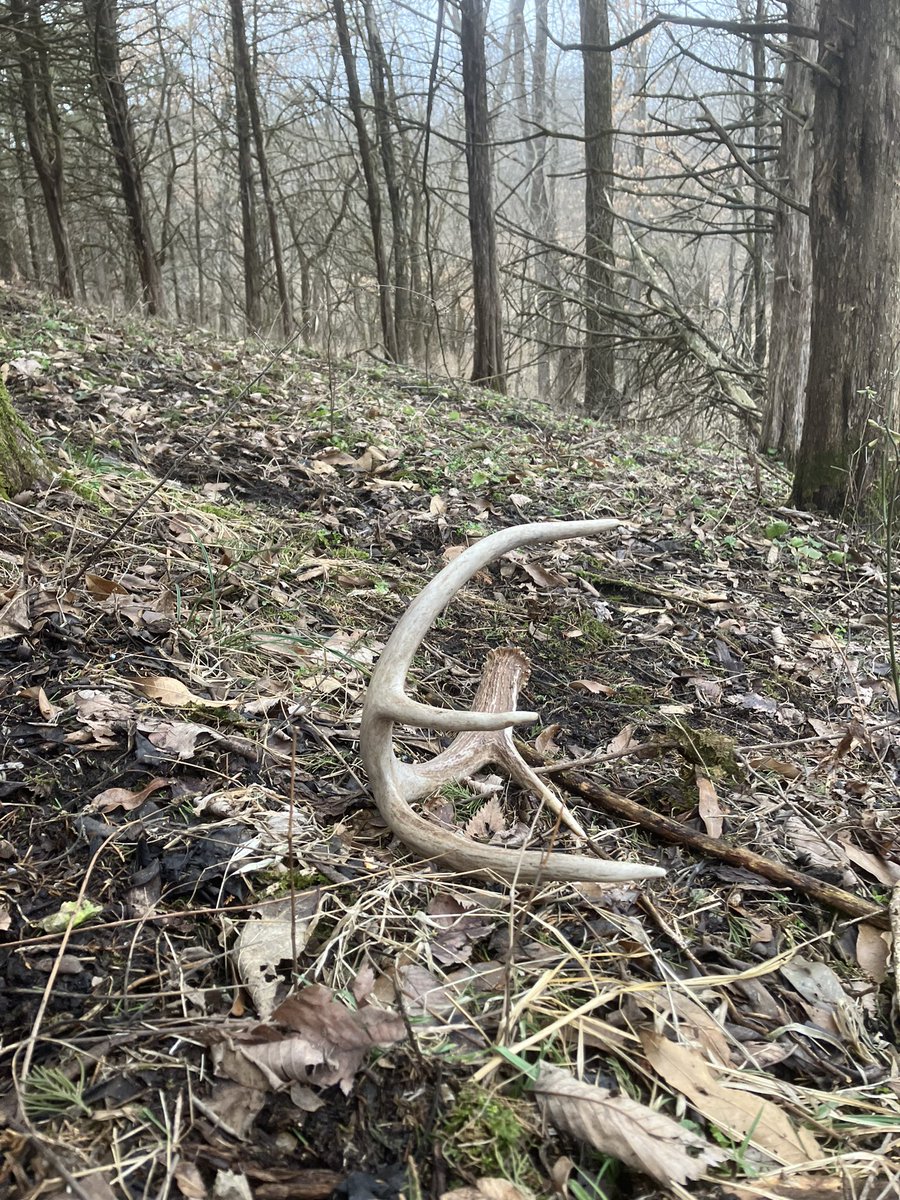 Good one! #Shedhunting #Shedrally
