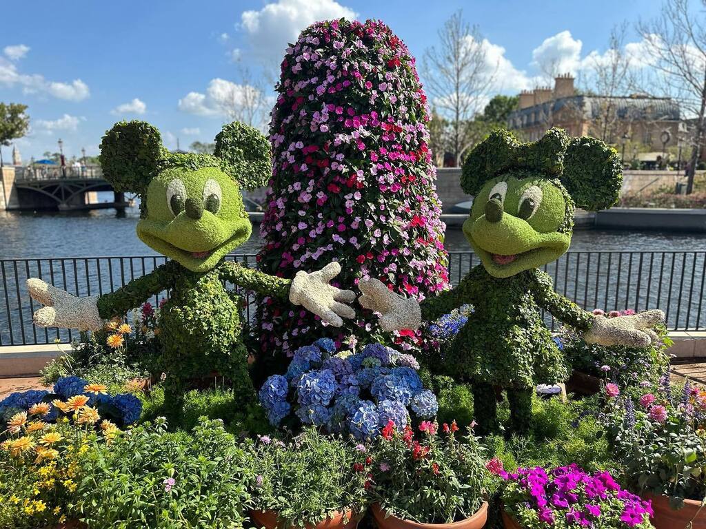 SamsDisneyDiary's tweet photo. Some Flower & Garden pics to help bring some spring vibes to your feed 🌸🌺🌸
.
.
.
#flowerandgardenfestival #epcot #mickeyandminnie #disneyworld #wdw #disneyparks #mickeymouse #epcotflowerandgardenfestival #internationalflowerandgardenfestival #worldsh… https://t.co/okkAoSlS1T https://t.co/WfOIXqVfxM