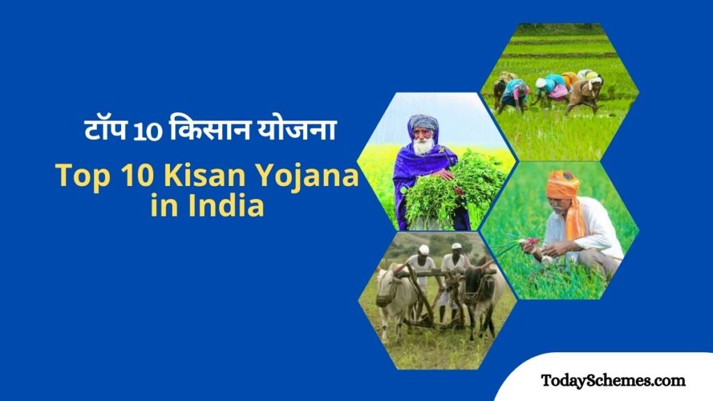 TodaySchemes's tweet photo. कृषि भारत में अर्थव्यवस्था की रीढ़ है । कृषि में तीव्र विकास न केवल आत्मनिर्भरता के लिए बल्कि मूल्यवान विदेशी मुद्रा अर्जित करने के लिए भी आवश्यक है। अगर आप एक किसान है तो टॉप 10 किसान योजनाए कौनसी है, इसके बारे में नीचे दिए लिंक जानकर फायदे उठा सकते हैं  https://t.co/20Jr4c0NiY https://t.co/fzD5zwZCQS