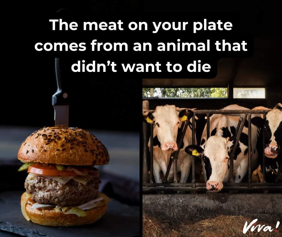 Norman Wisdom 🇮🇪 🏴󠁧󠁢󠁷󠁬󠁳󠁿 (@nwissdom) on Twitter photo 