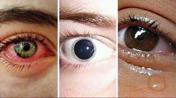 Sebastian Vettel Jr tweet media