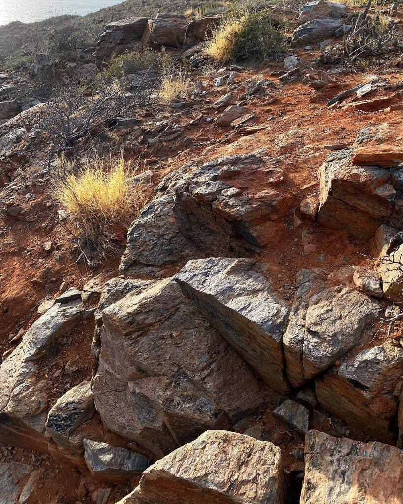 David & Sherry tweet media