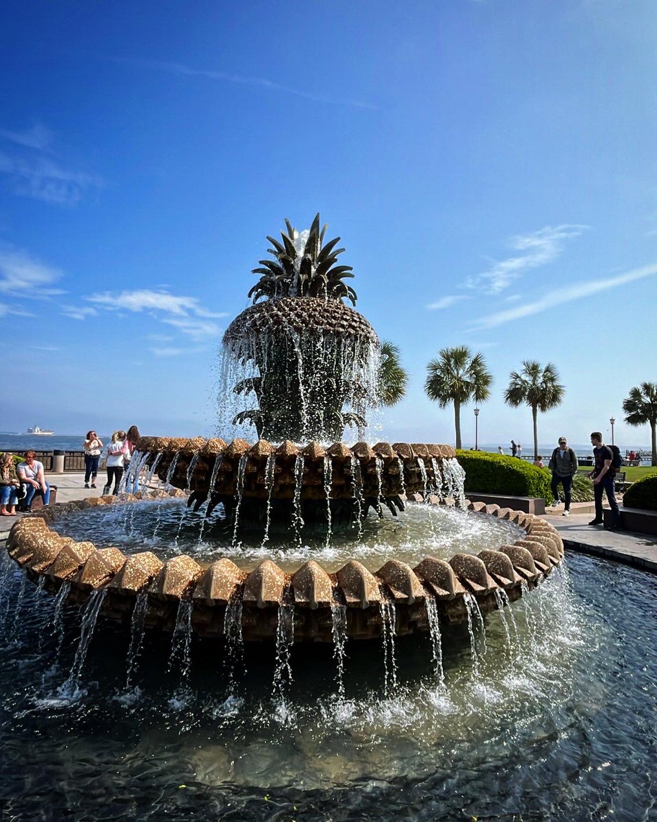 kjer26's tweet photo. Charleston was a dream 🍍🌴💖 #ExploreCharleston @ExploreCHS https://t.co/VJgSYgeRpE