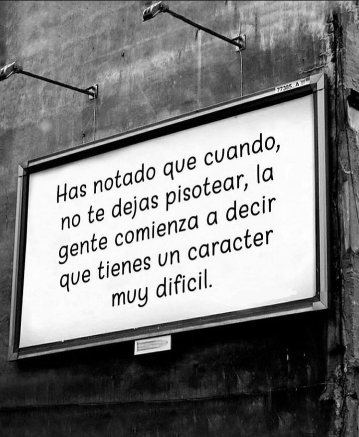 Escrito Ideal (@escrito_ideal) on Twitter photo 