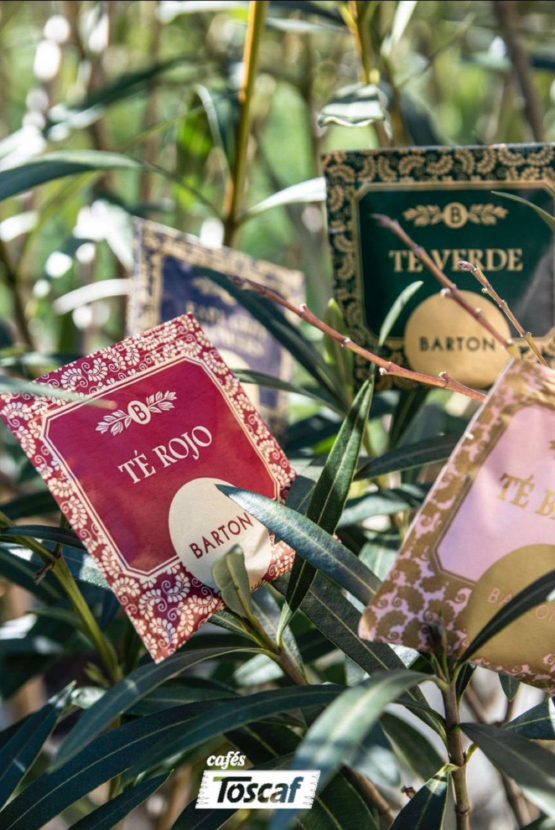 🫖 Té rojo, té verde, té blanco... ¿cuál prefieres?
En <a href="/cafes_toscaf/">Cafés Toscaf</a> disponemos de té para todos los gustos con nuestras #InfusionesBarton.Encuentra tu sabor ideal y disfruta del mejor té.

#Teatime #Locosporelté #CafesToscaf #teatime #tealover #coffeeshop #coffeeaddict