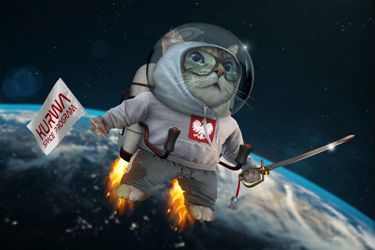 I don't know who started the #NAFOSpaceDivision but this universe is getting weirder and weirder! 😅 Well then, so be it! 😂 Gruby launches #KurwaSpaceProgram! 🇵🇱😎 Beware Melon, here we come! 🤣
🚀🪐🛰️👩‍🚀👨‍🚀

#nafo #fellas