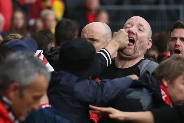 Football Away Days tweet media
