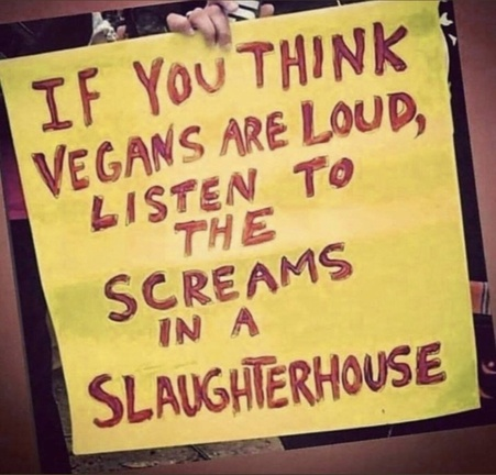 veganfuture's tweet photo. https://t.co/2WKtY6lyFa