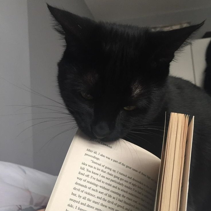 ֺ۪ ⭒ ݂  𓍯 ࣪  Inspo ; diversas fotos divertidas con tus cercanos <3 !   ֺ۪ ⭒ ݂ ...