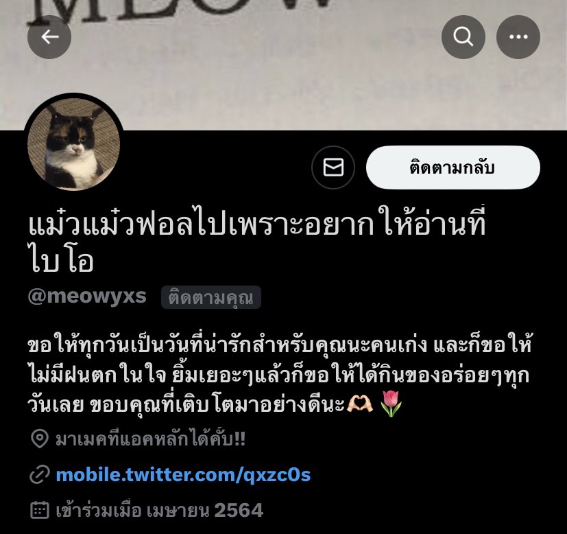 ขอบคุณค้าบ น่ารักมากมาก ขอให้ทุกวันเป็นวันที่น่ารักเช่นกันน้า 💐  <a href="/meowyxs/">แม๋วแม๋ว</a>
