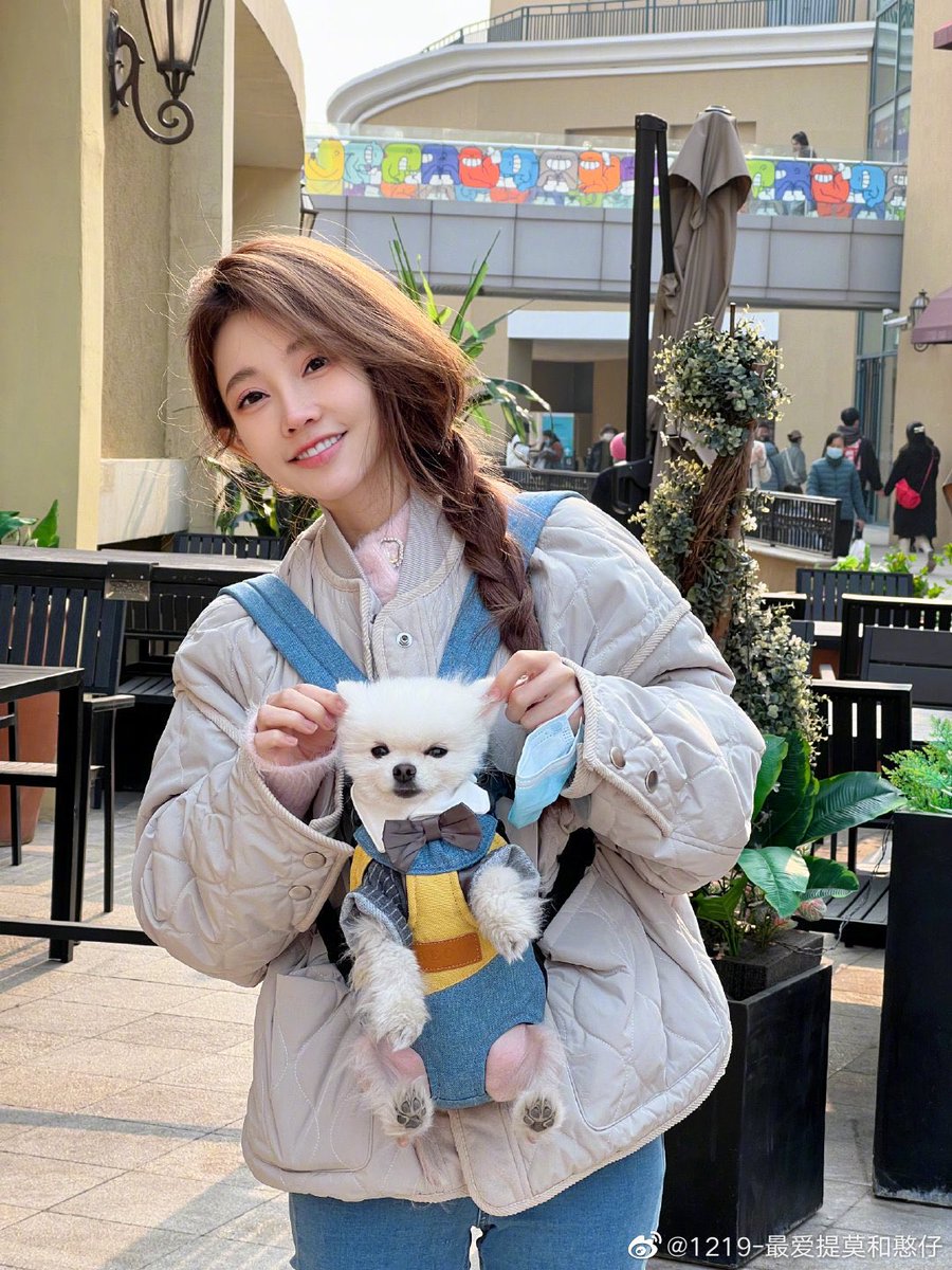 fengtimolove's tweet photo. 提莫蘑菇们晚安好梦 https://t.co/oMOBtiGxPl