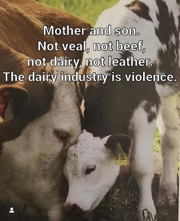 veganfuture's tweet photo. https://t.co/oa2V9GbuRt