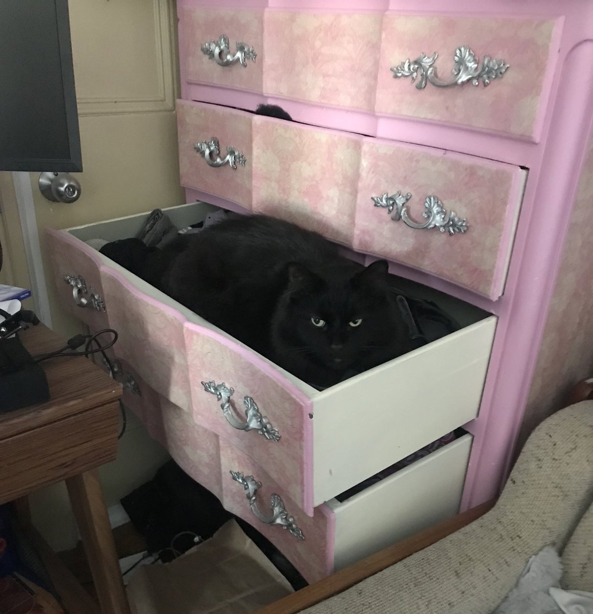 supersaiyanmaya's tweet image. I don’t usually swear but this shit makes me so fucking jealous