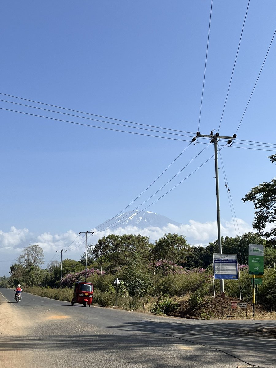 Scenic <a href="/runningpunks/">Running Punks</a> #sundayrunclub in the jacaranda trees. If you look closely you can see Kilimanjaro over my shoulder