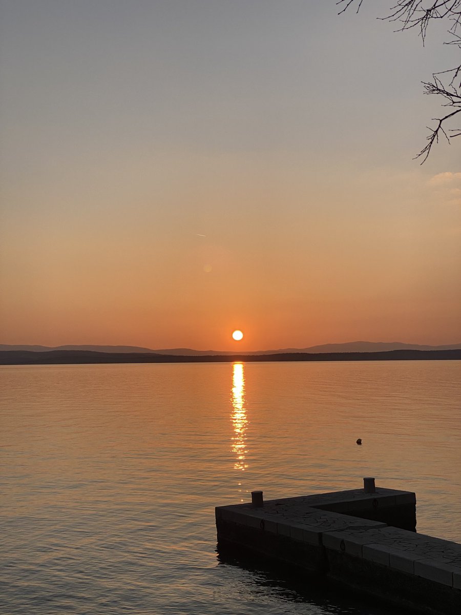 Robert Petković tweet media