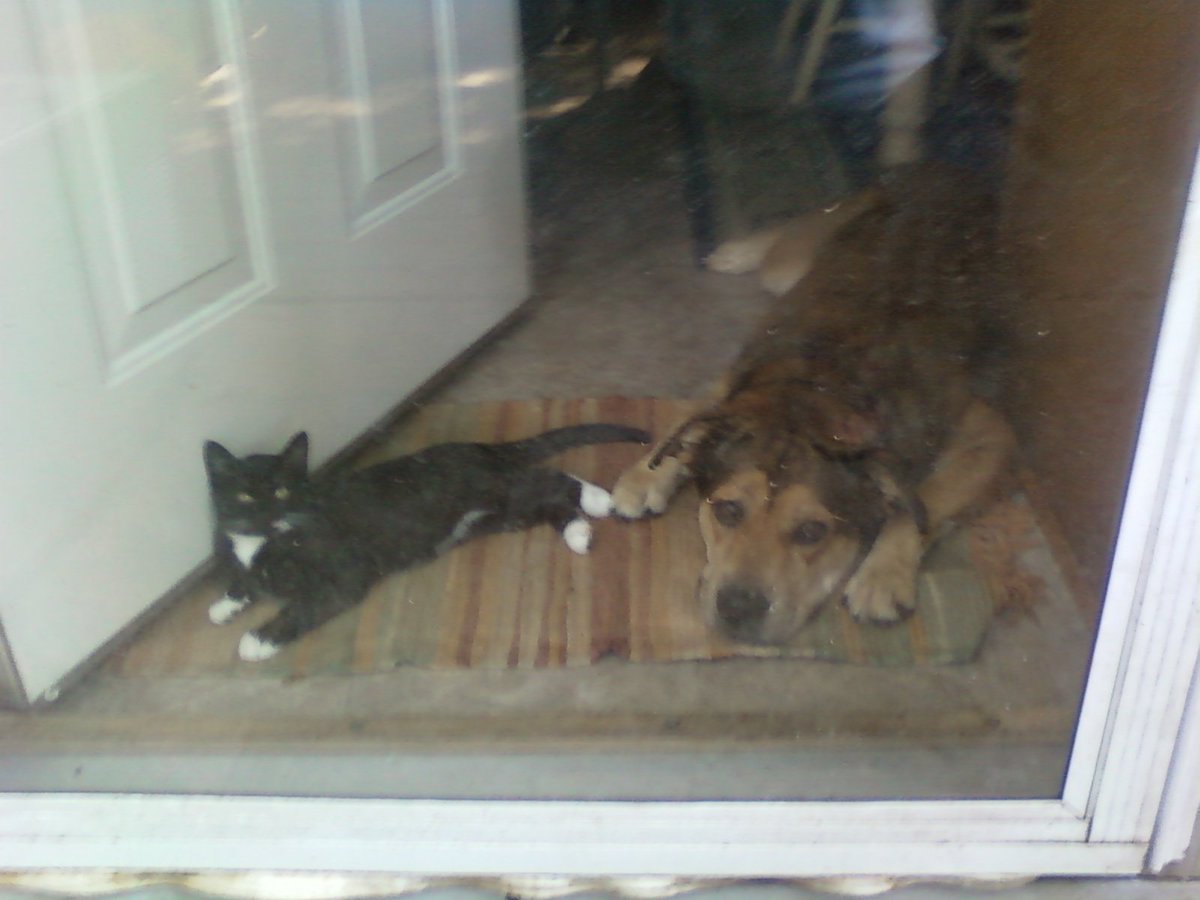 Casey Beck tweet media