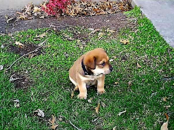 Casey Beck tweet media