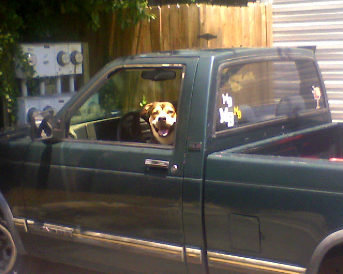 Casey Beck tweet media