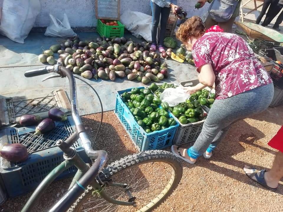 🎋Cada domingo en #Matanzas #Cuba se repite,  las ferias integrales, una opción para el pueblo.
 <a href="/gpppmatanzas/">Gobierno Provincial del Poder Popular en Matanzas</a> <a href="/SuselyMorfaG/">Susely Morfa González</a>