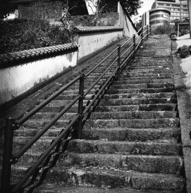 RolleicordとRPX25で撮影
現像不良とかカールがあったりで公開するか迷ったんですがとりあえずツイートしちゃう 