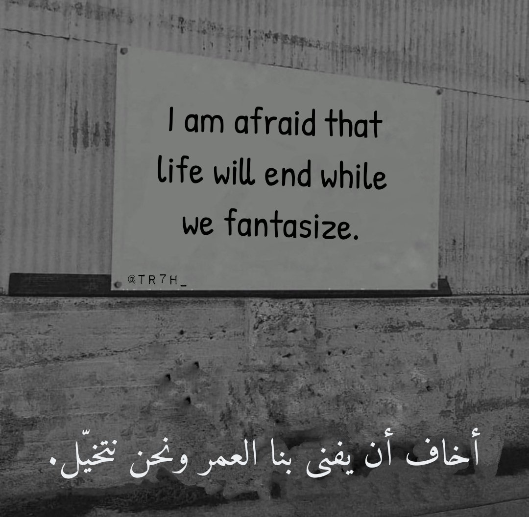 Joe 𓂆 🇵🇸 tweet media