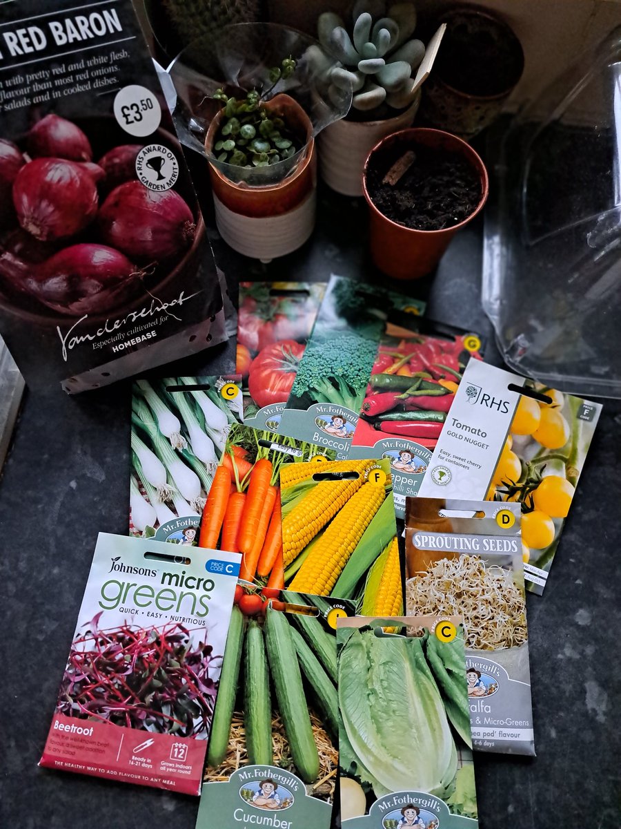 First attempt at growing my own veggies! Any tips greatly appreciated 👍
#GrowYourOwn #GrowYourOwnFood #vegetablegarden #GardeningTwitter #familydinner